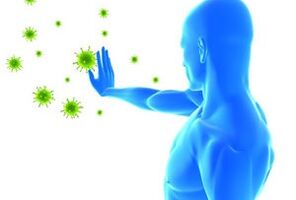 Vías de transmisión do virus do papiloma humano